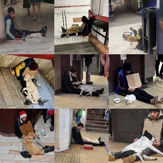 Mobilizare pentru protest în București: un cerșetor este suspectat că folosește câini sedați pentru a cere bani