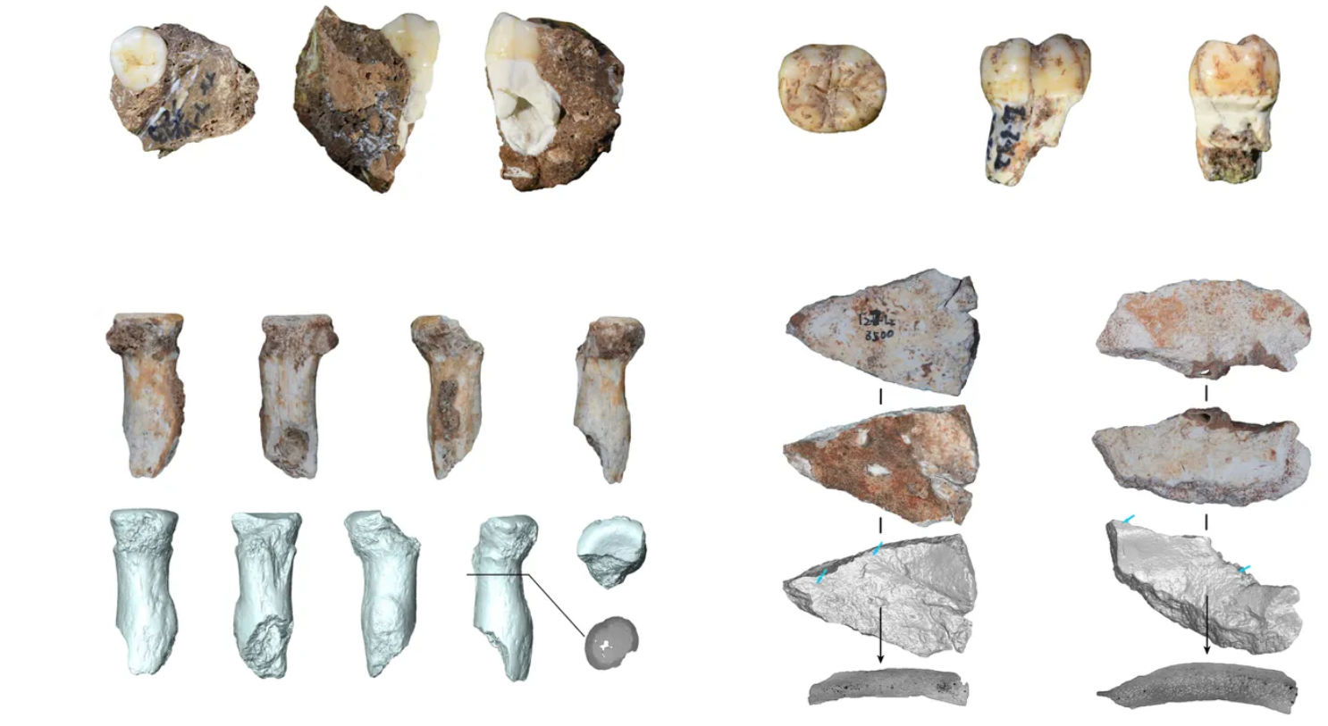 Descoperire istorică în China: Primul os de braț identificat al denisovenilor într-o peșteră de 100.000 de ani